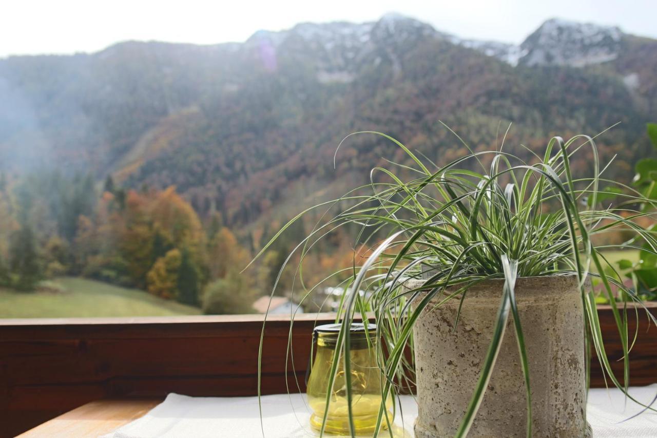 Kienberghof Apartment Inzell Exterior photo